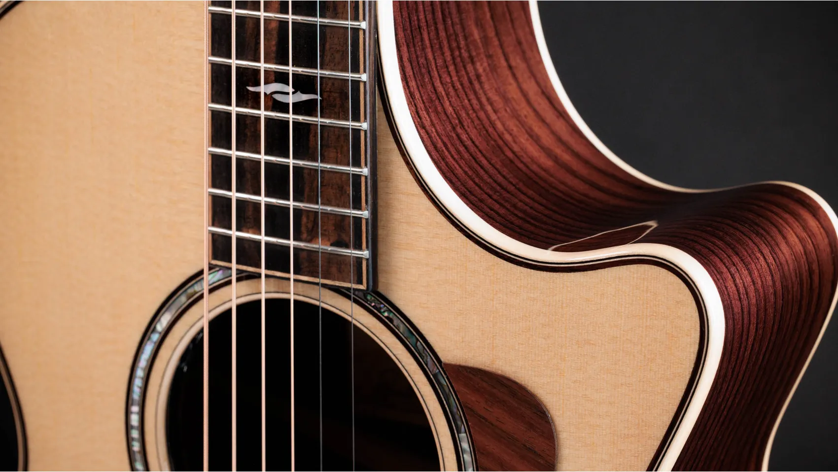 次世代812ceIndian Rosewood・アコースティック・エレクトリックギター